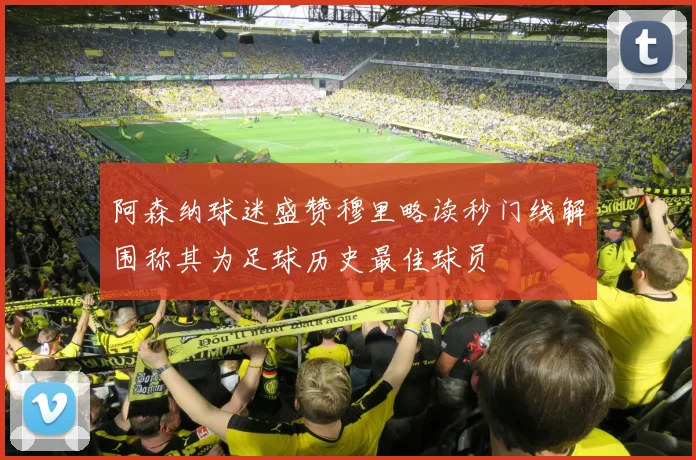 阿森纳球迷盛赞穆里略读秒门线解围称其为足球历史最佳球员