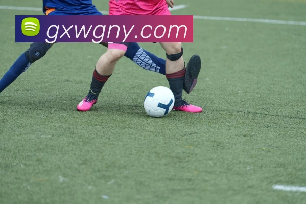 开云平台生态图