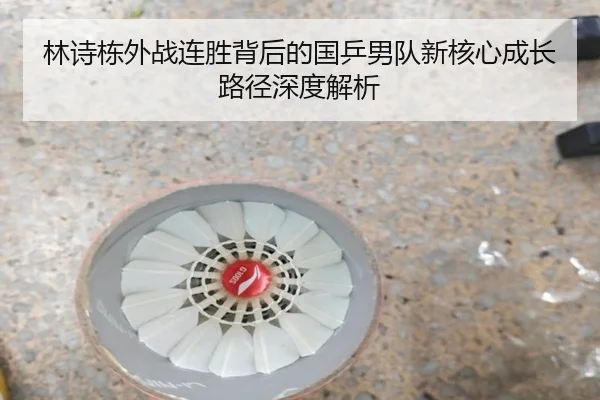 林诗栋外战连胜背后的国乒男队新核心成长路径深度解析